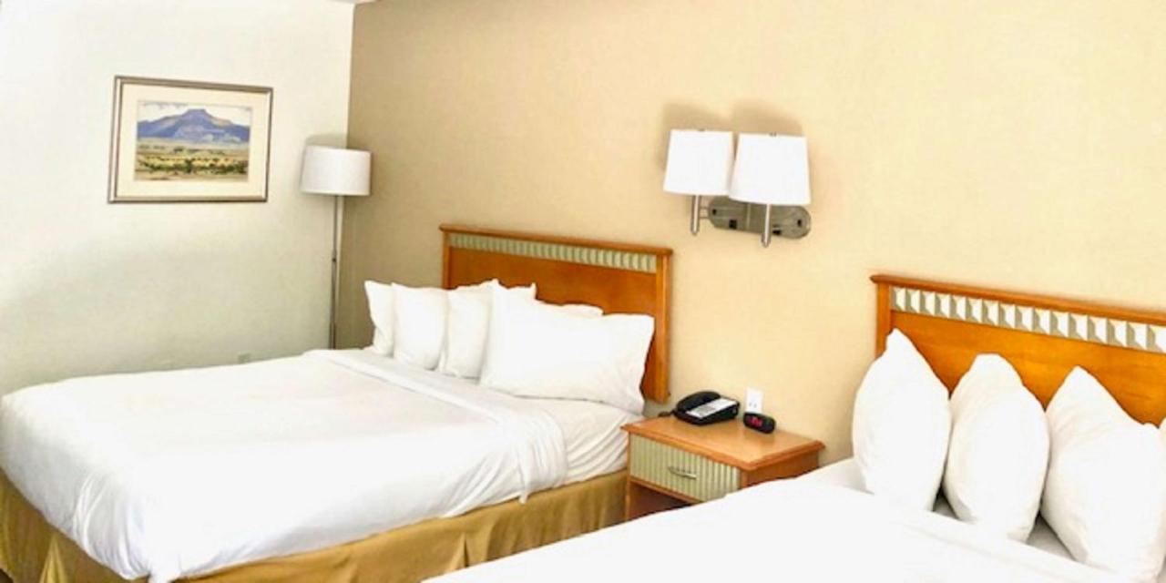 Surestay Plus Hotel By Best Western Albuquerque I-40 Eubank מראה חיצוני תמונה