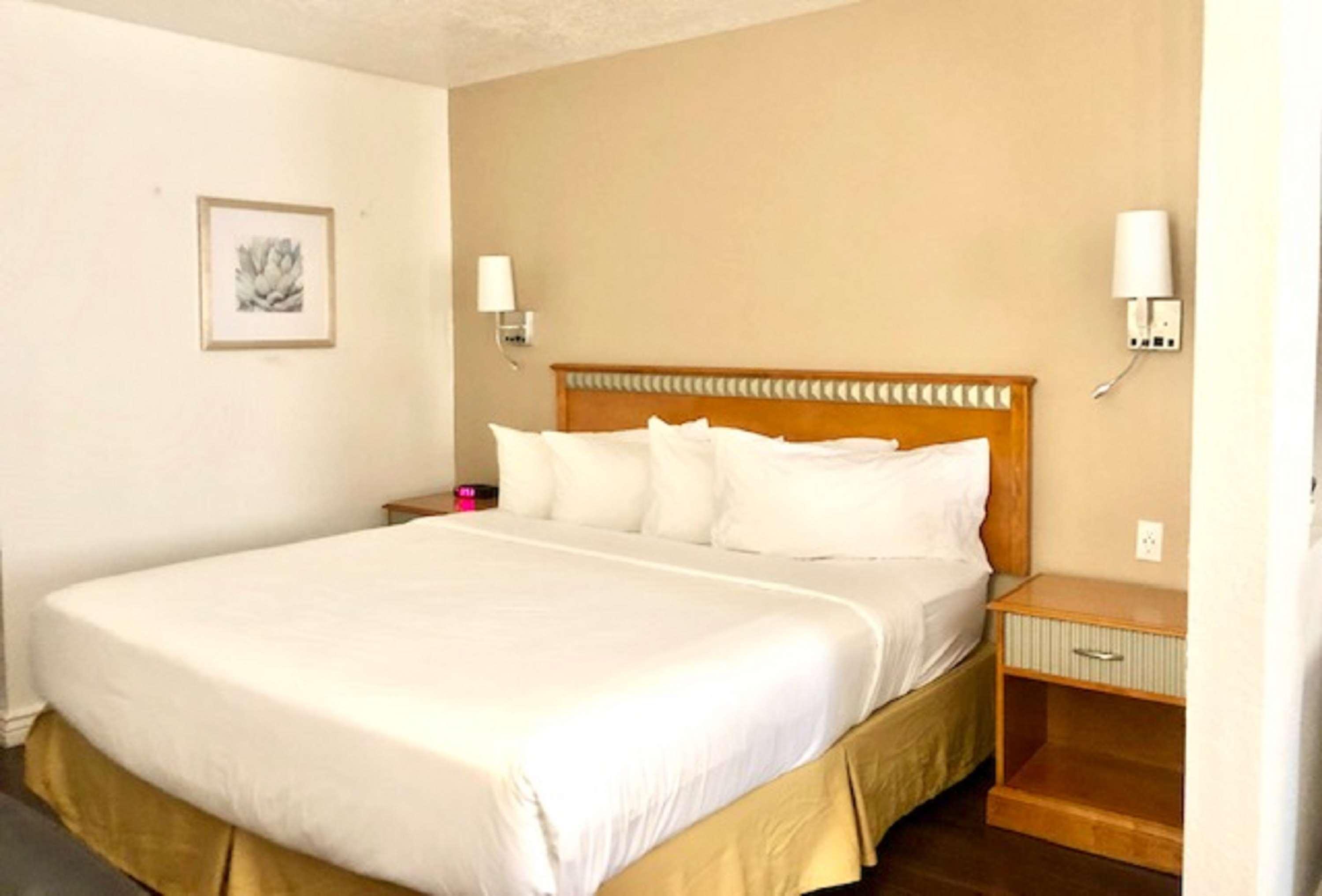 Surestay Plus Hotel By Best Western Albuquerque I-40 Eubank מראה חיצוני תמונה