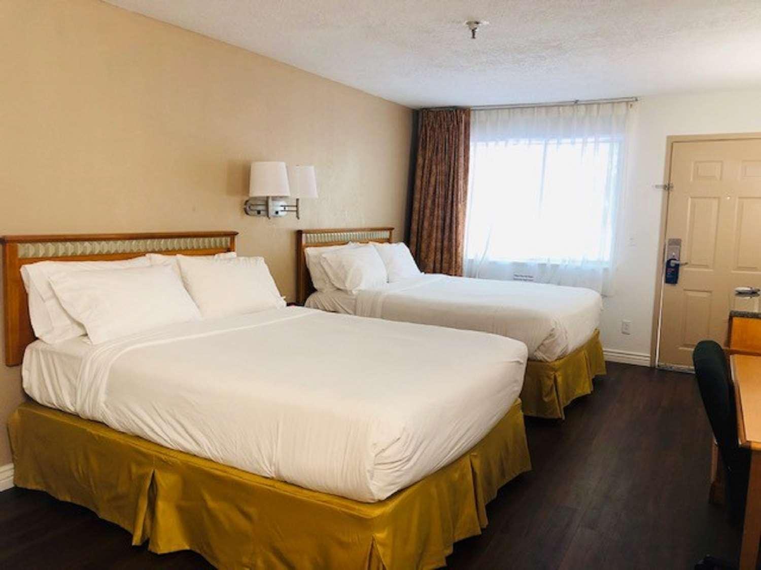Surestay Plus Hotel By Best Western Albuquerque I-40 Eubank מראה חיצוני תמונה